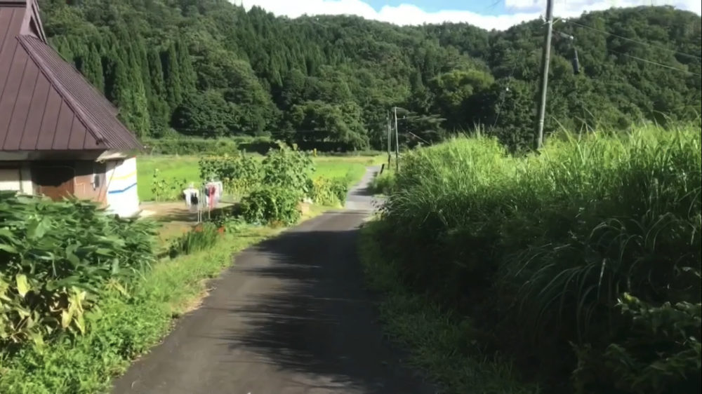 標高1000m、6kmの稜線Runの写真45