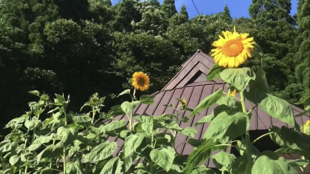 標高1000m、6kmの稜線Runの写真46