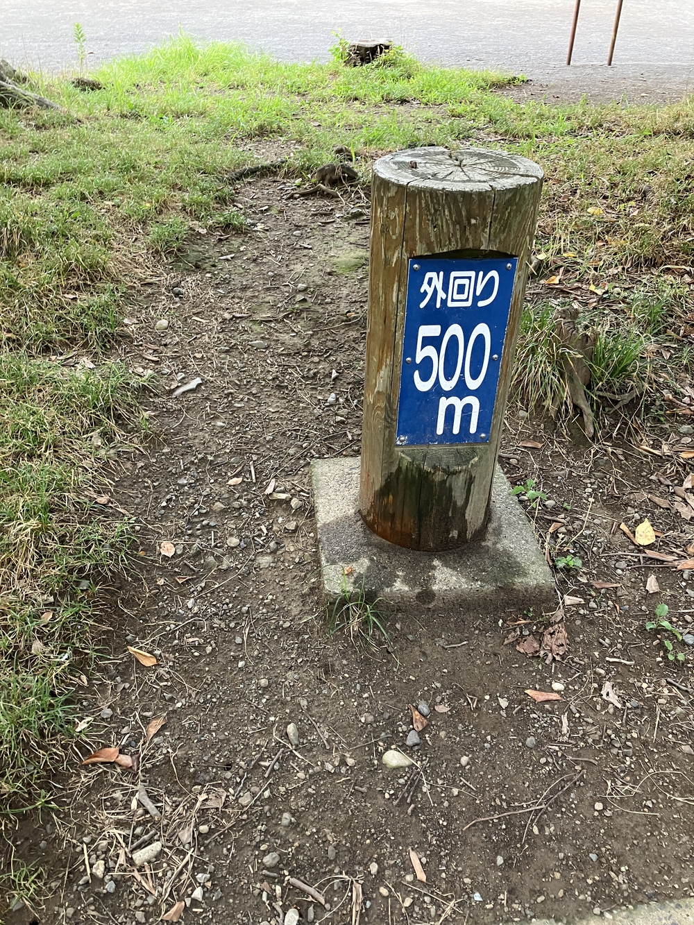 木陰多し・中原平和公園外回り 990mコースでペース走の写真4