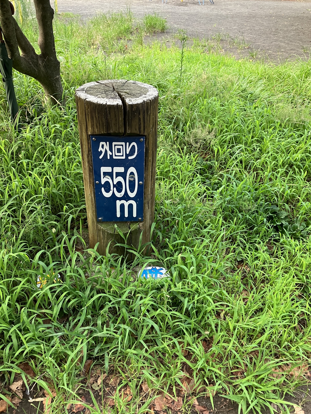 木陰多し・中原平和公園外回り 990mコースでペース走の写真5