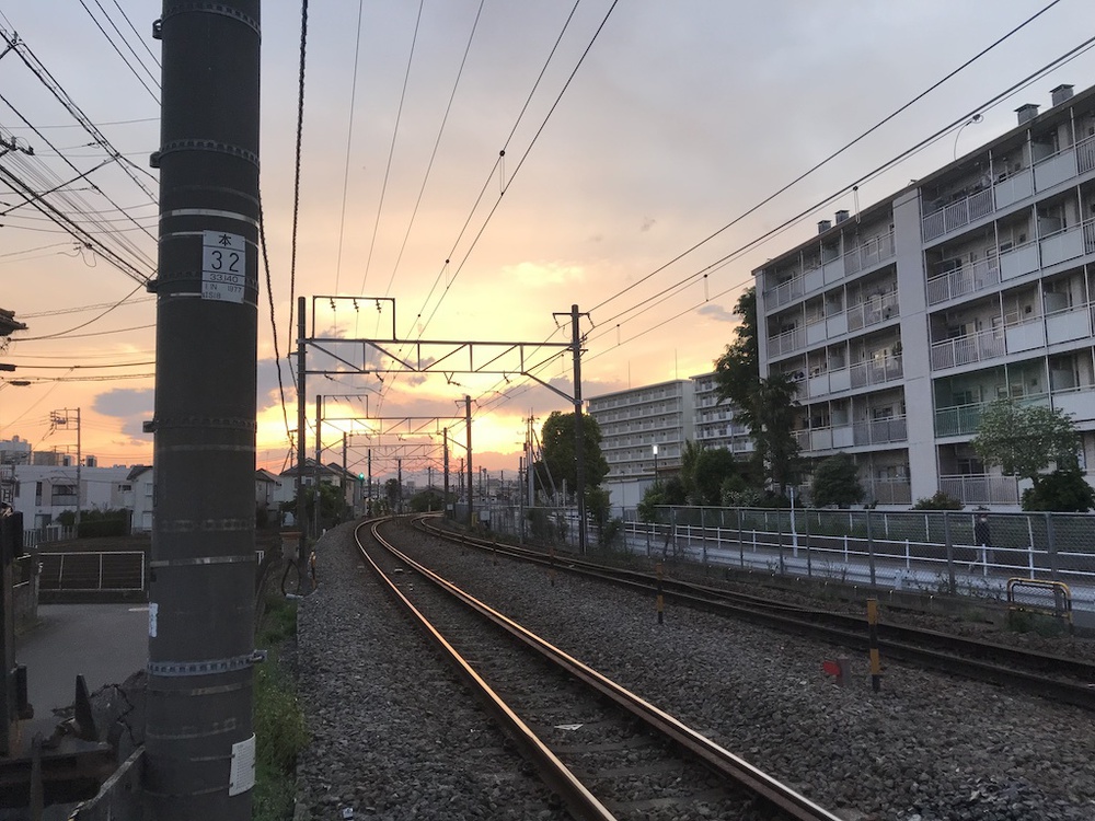 国立市で鳩のGPSアートの写真3