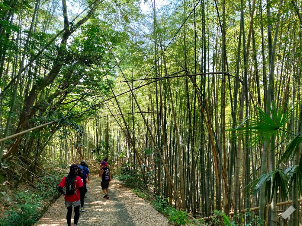 サムライ顔マラソンの写真7