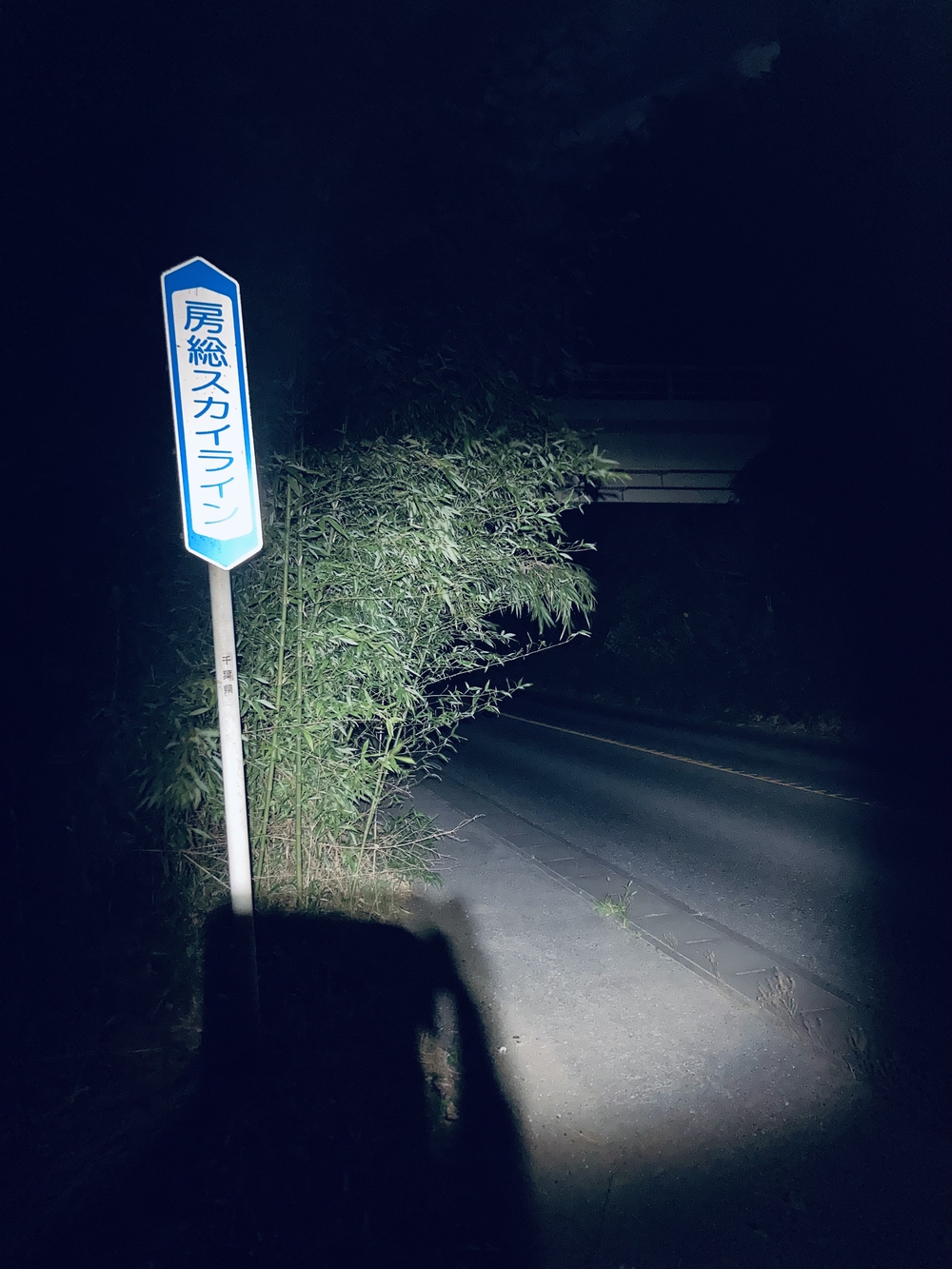 房総半島TTT（東京湾to太平洋）の写真3