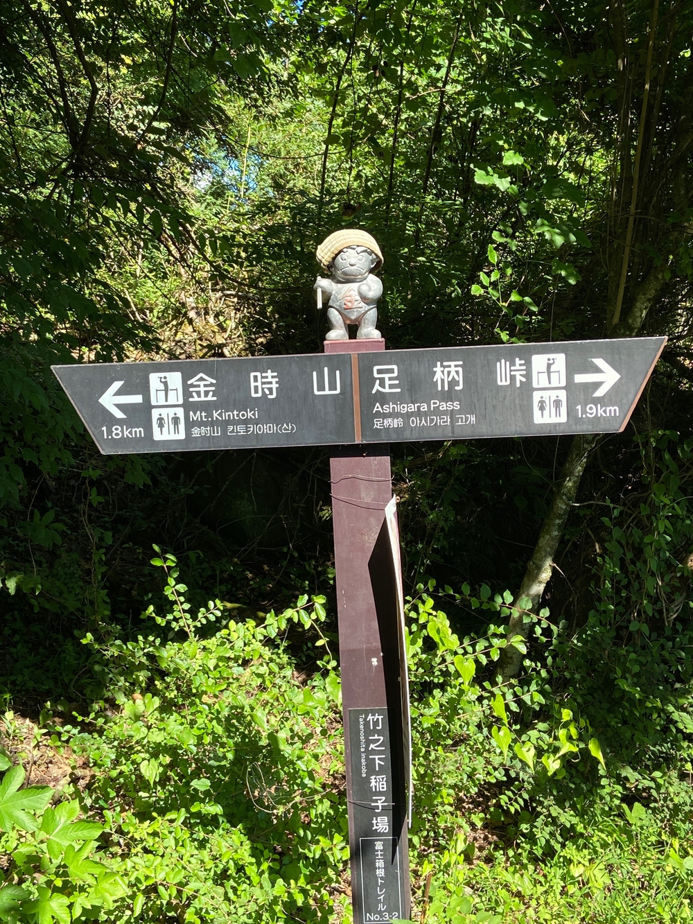 金時山❗️ 足柄峠からの登山ルートの写真4