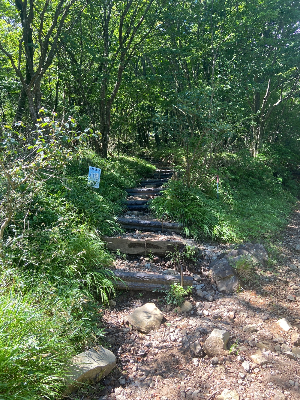 金時山❗️ 足柄峠からの登山ルートの写真7