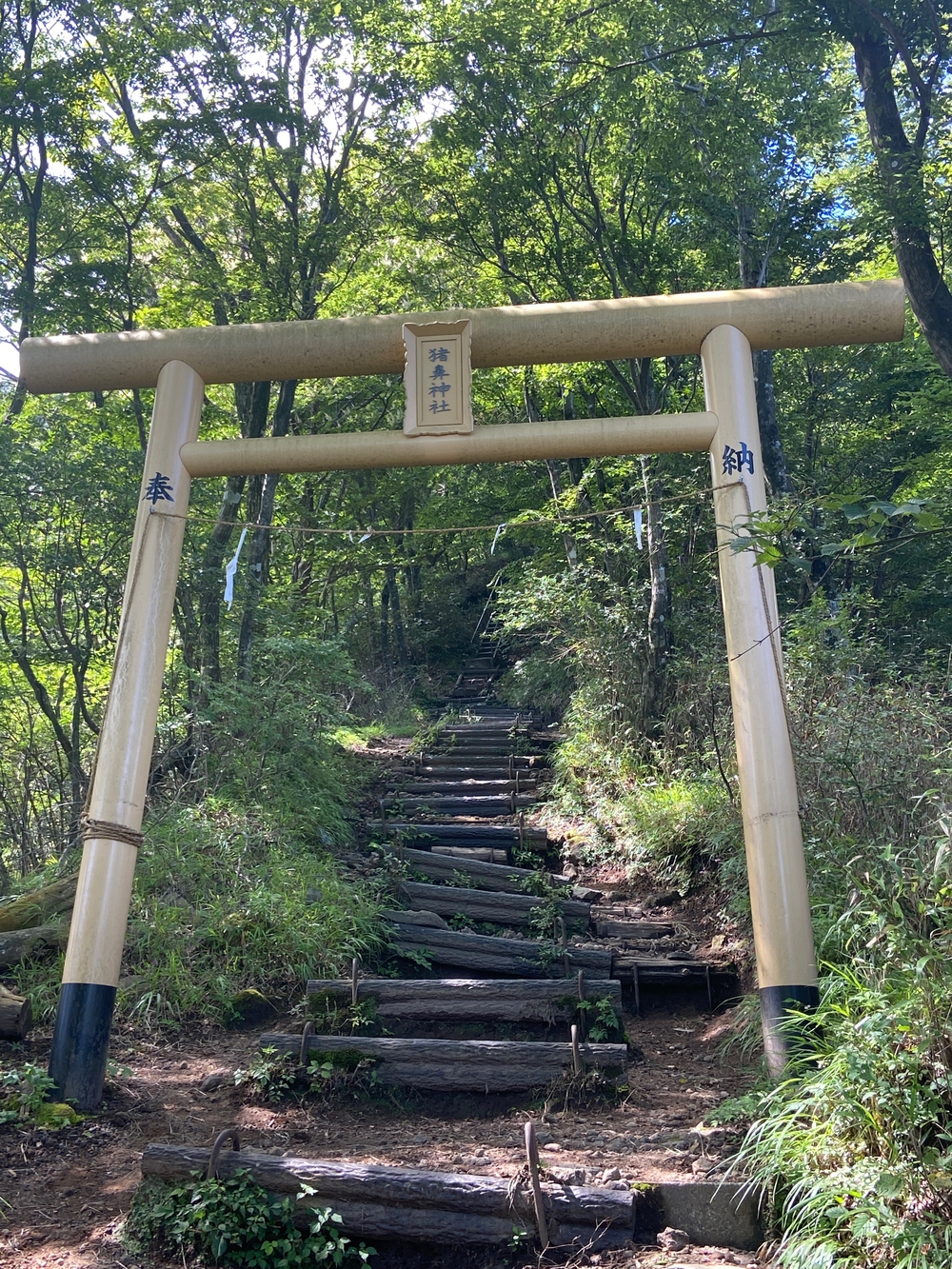 金時山❗️ 足柄峠からの登山ルートの写真8