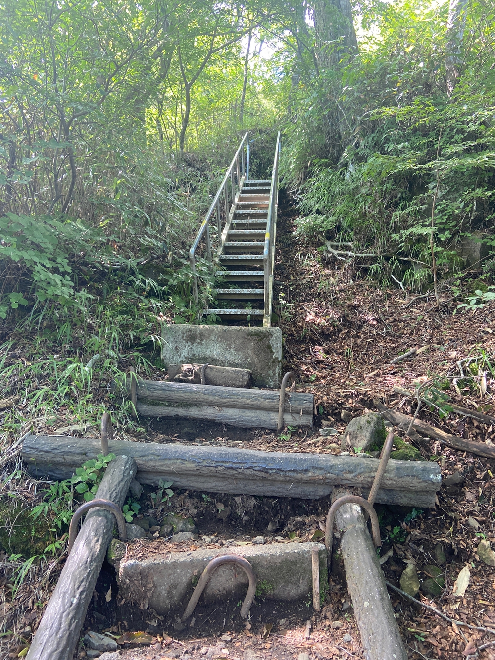 金時山❗️ 足柄峠からの登山ルートの写真9