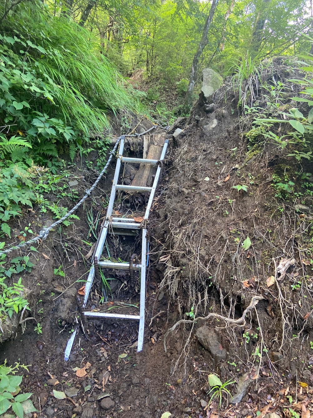 金時山❗️ 足柄峠からの登山ルートの写真10