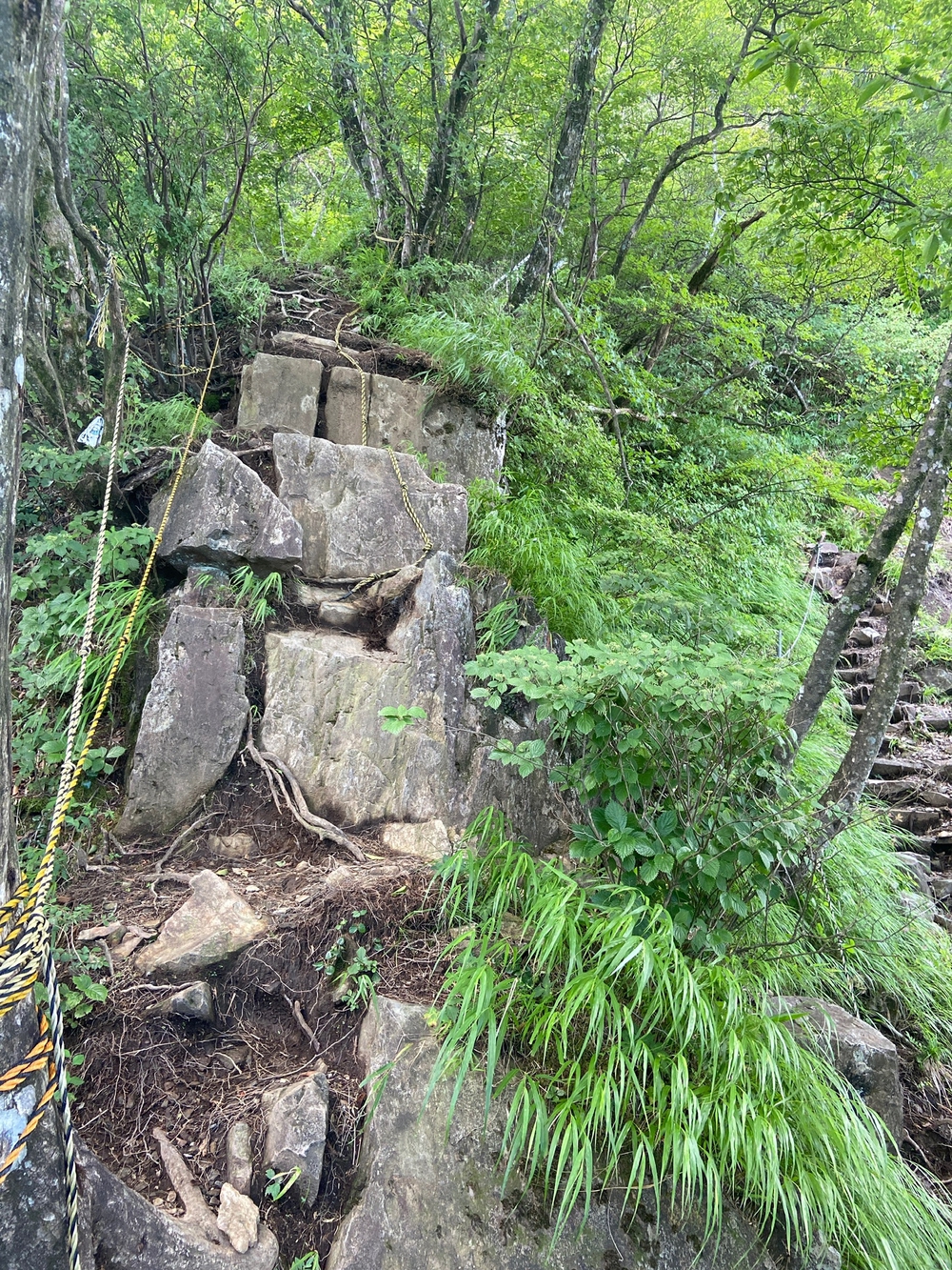 金時山❗️ 足柄峠からの登山ルートの写真12