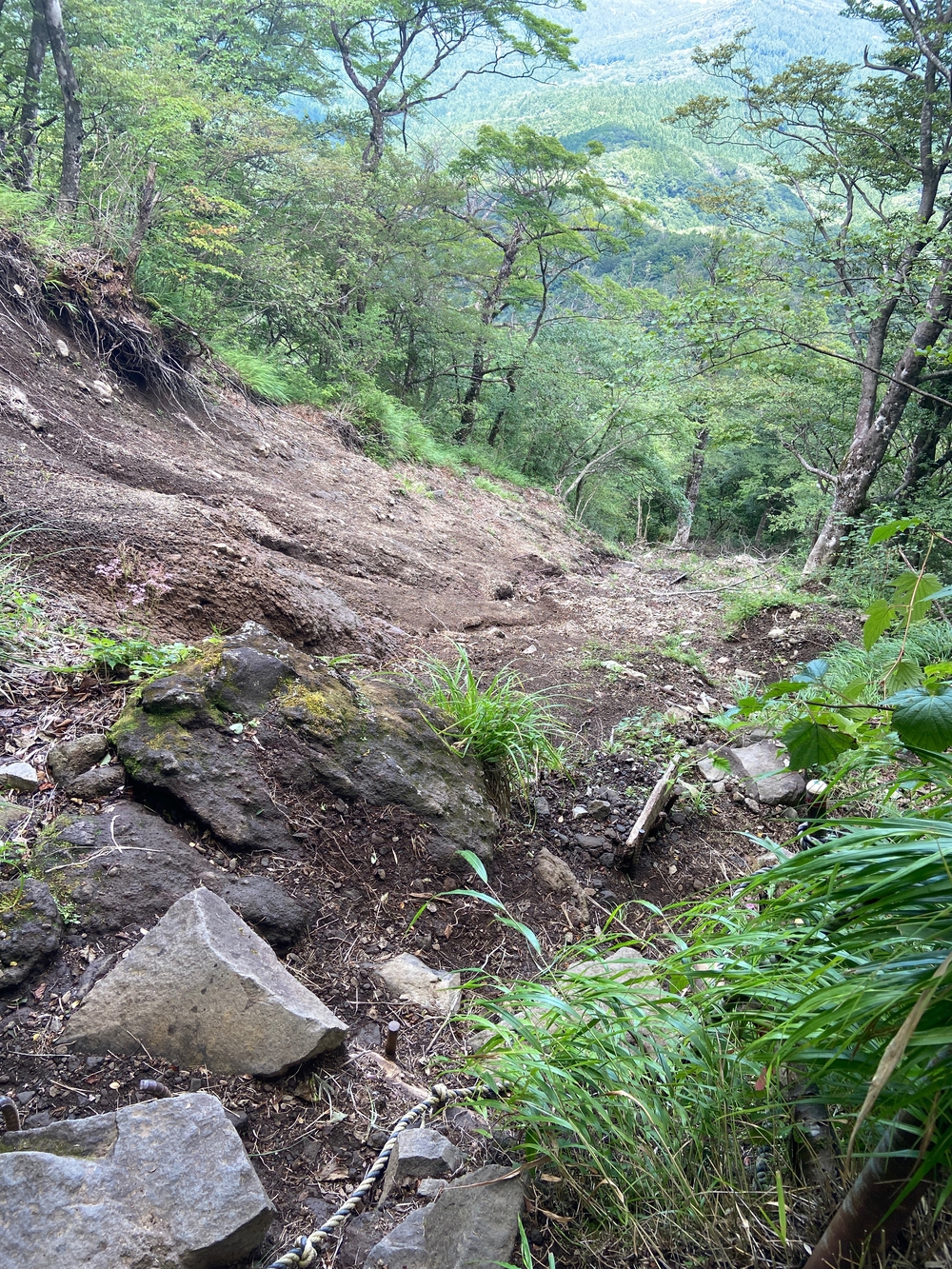 金時山❗️ 足柄峠からの登山ルートの写真22