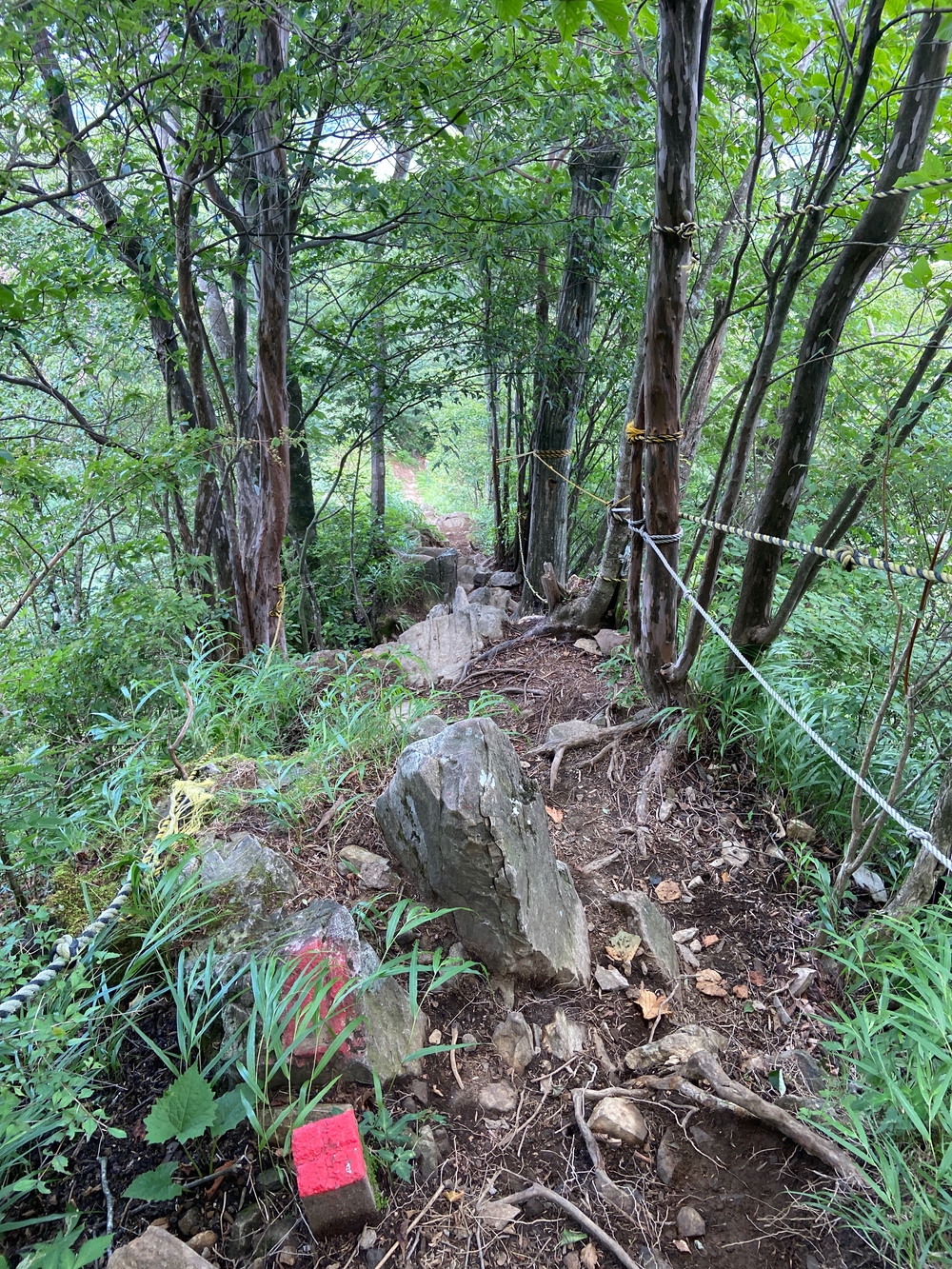 金時山❗️ 足柄峠からの登山ルートの写真23