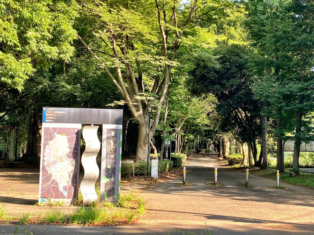 REALVRWC茨城1st　つくば公園通り10ｋｍコースの写真3