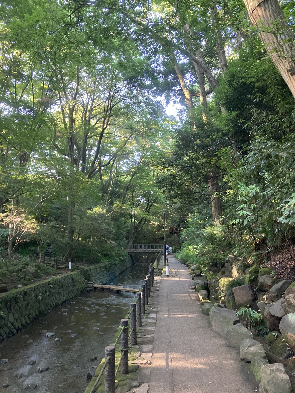 REALVRWC二子玉川　オススメコース5kmの写真3