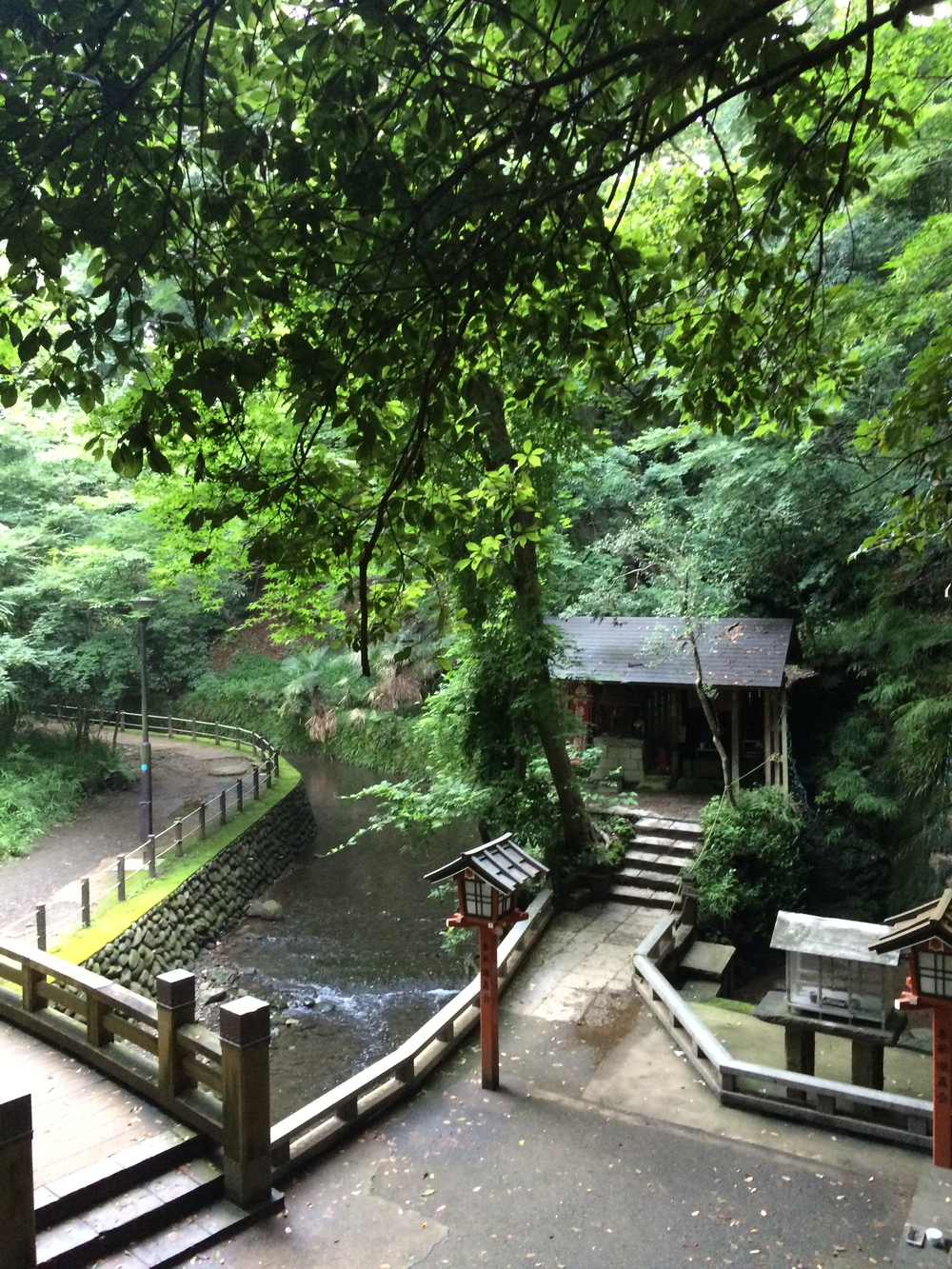 REALVRWC二子玉川　オススメコース5kmの写真4