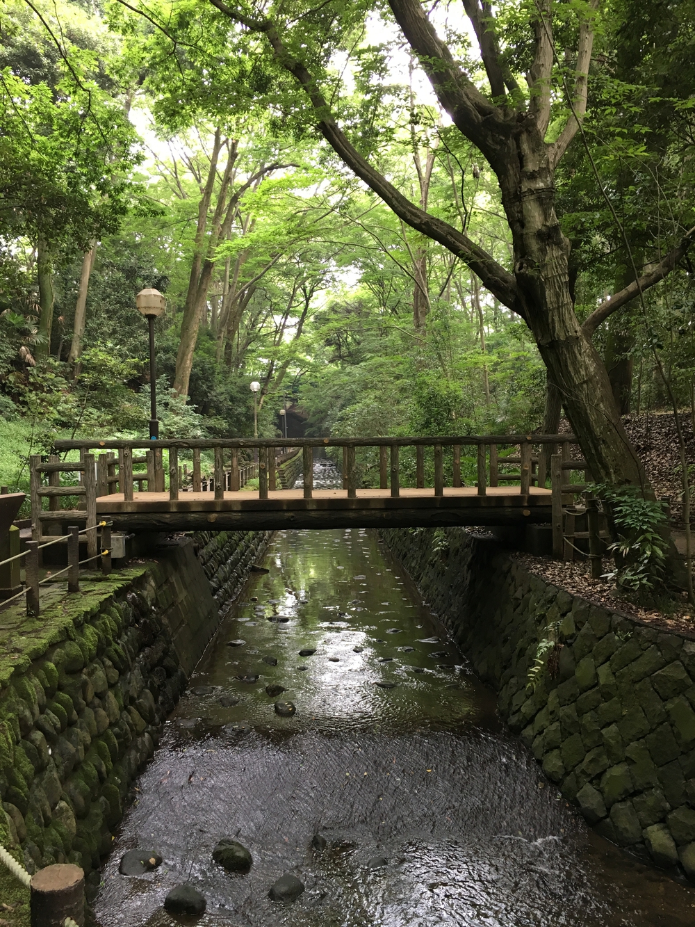 REALVRWC二子玉川　オススメコース5kmの写真5