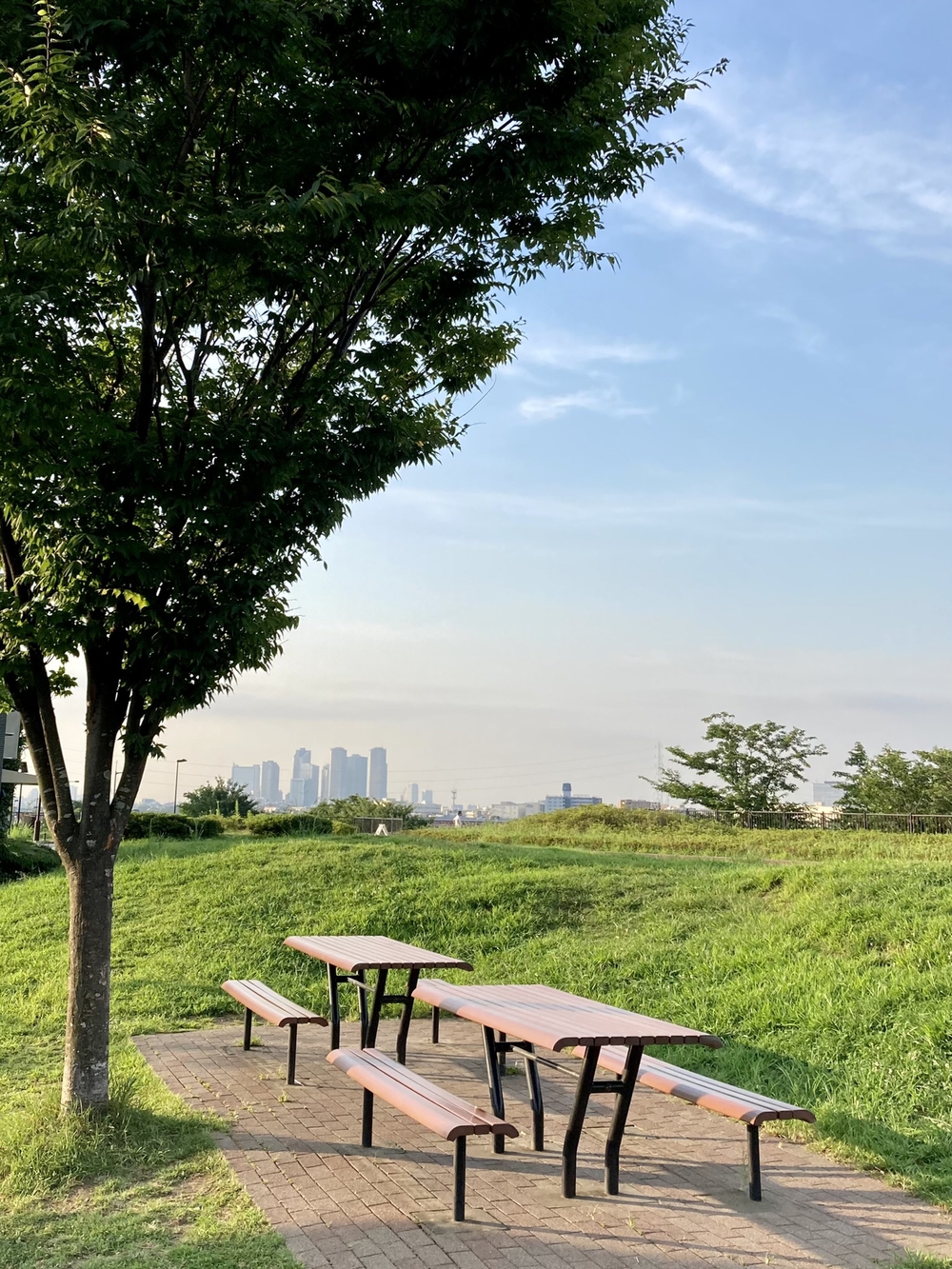 REALVRWC二子玉川　オススメコース5kmの写真7