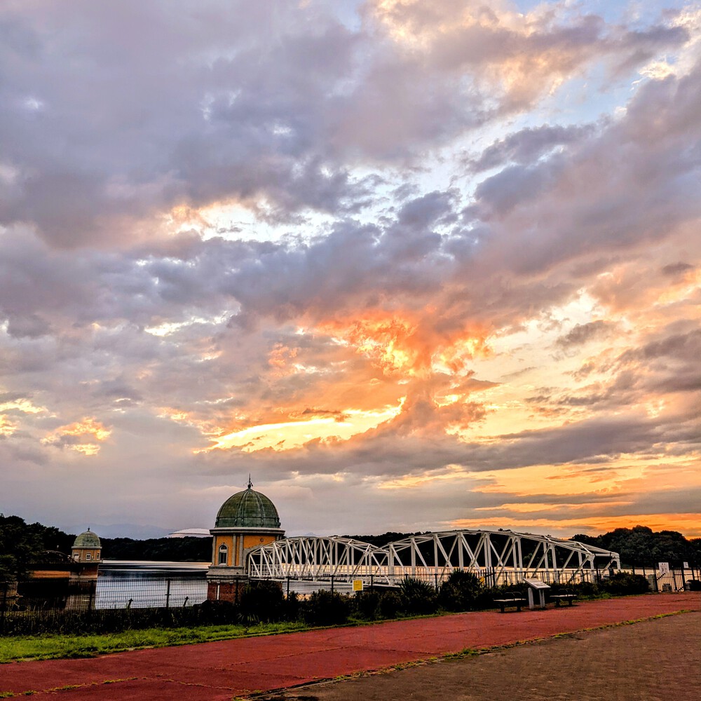 REAL VRWC 多摩地区 8/27 5kmサンプルコースの写真3
