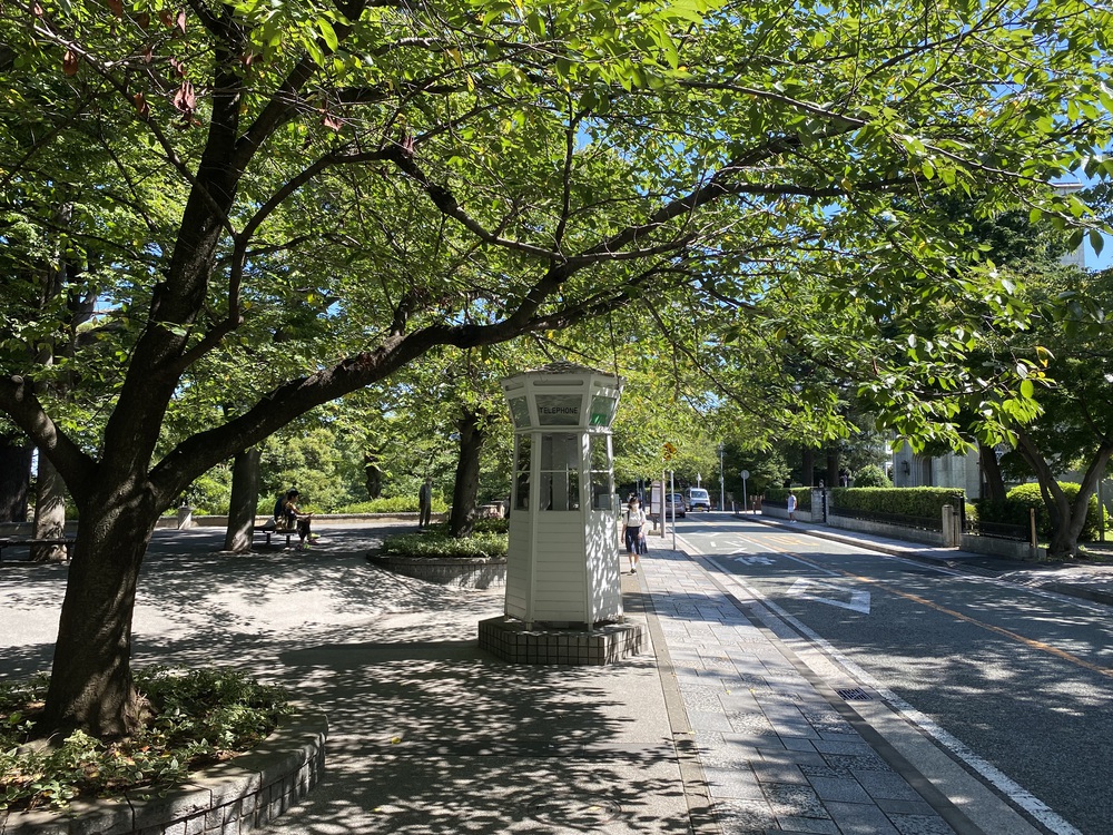 横浜ベイエリアをRUN Tripの写真5