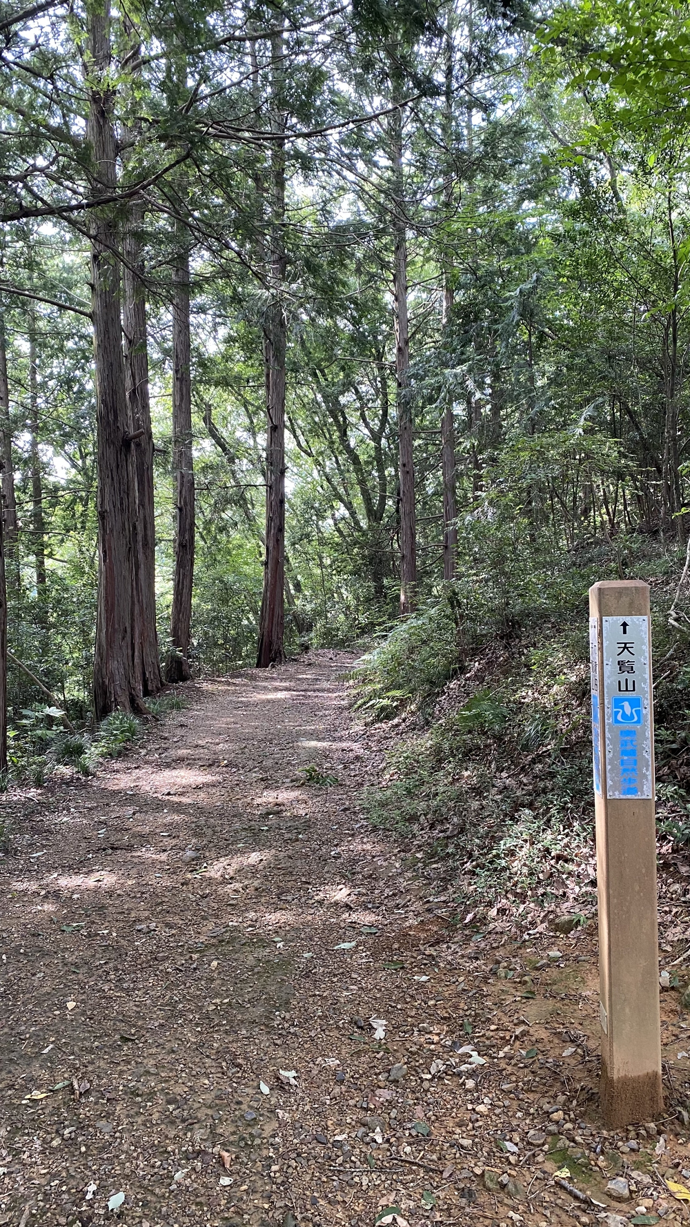 宮沢湖起点、飯能市低山ラン13キロ　高麗川駅～飯能駅の写真4