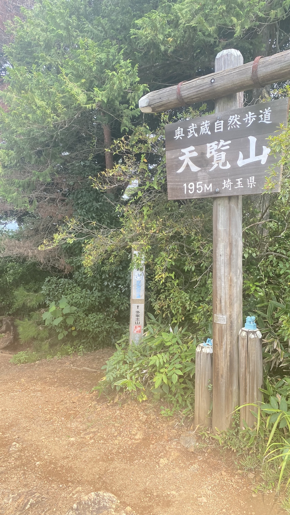 宮沢湖起点、飯能市低山ラン13キロ　高麗川駅～飯能駅の写真5