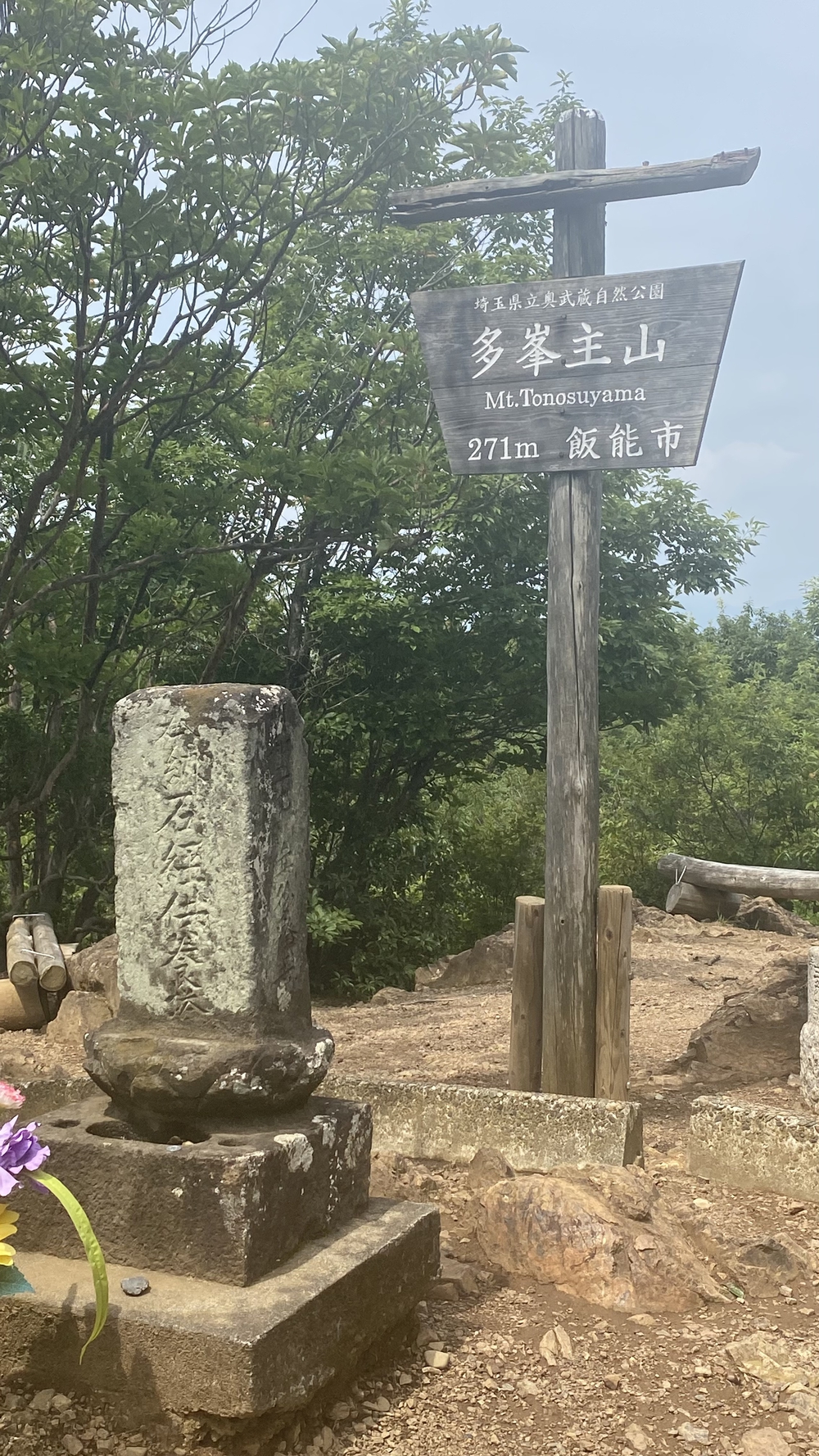 宮沢湖起点、飯能市低山ラン13キロ　高麗川駅～飯能駅の写真6