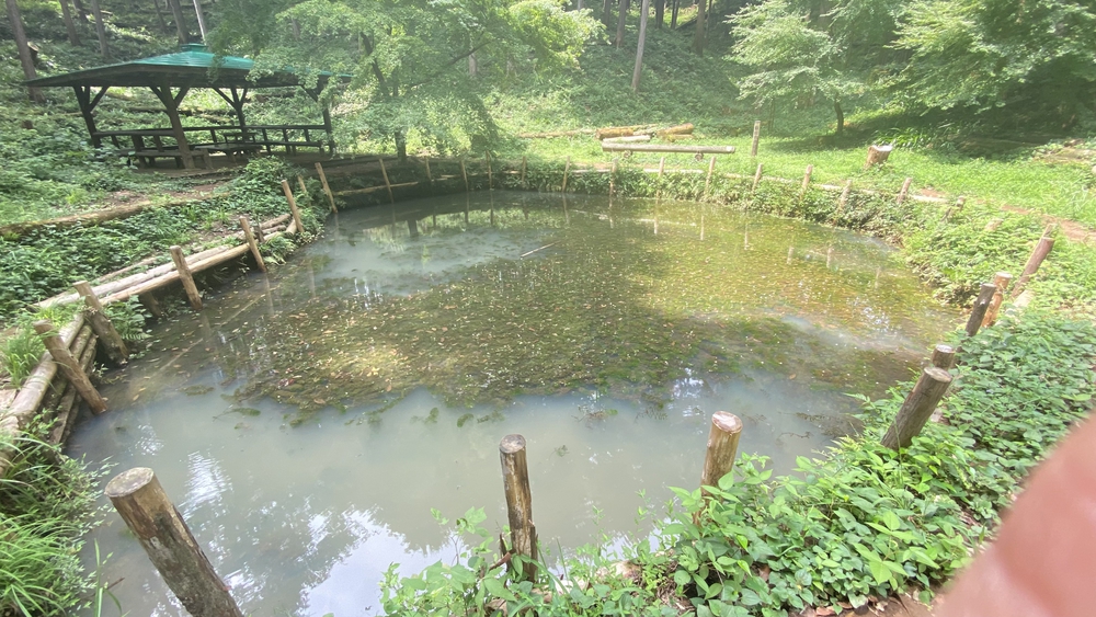 宮沢湖起点、飯能市低山ラン13キロ　高麗川駅～飯能駅の写真7