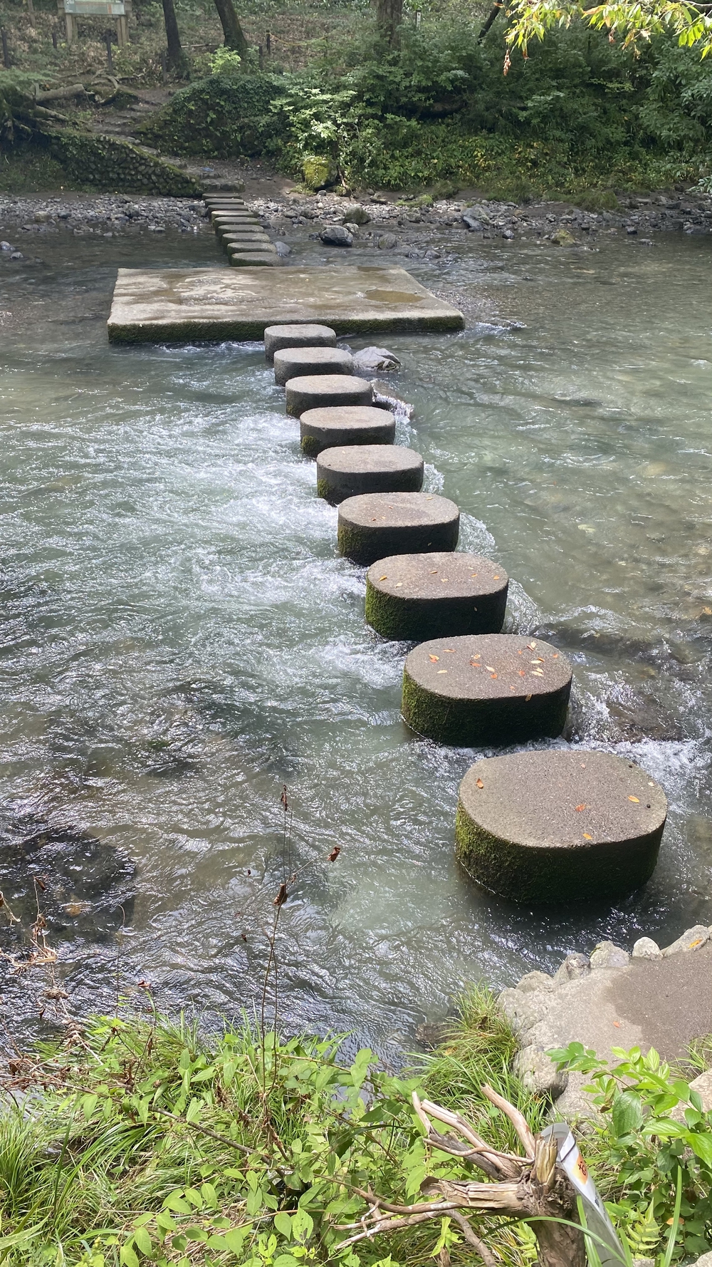 宮沢湖起点、飯能市低山ラン13キロ　高麗川駅～飯能駅の写真9