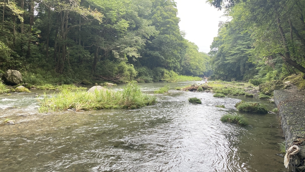 宮沢湖起点、飯能市低山ラン13キロ　高麗川駅～飯能駅の写真10