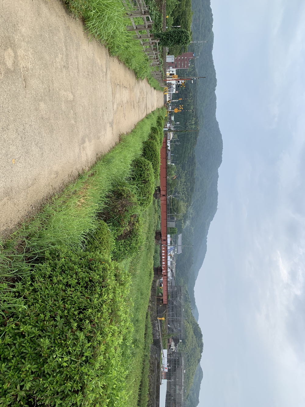 西舞鶴の早朝　河川敷ランと観光列車の写真8