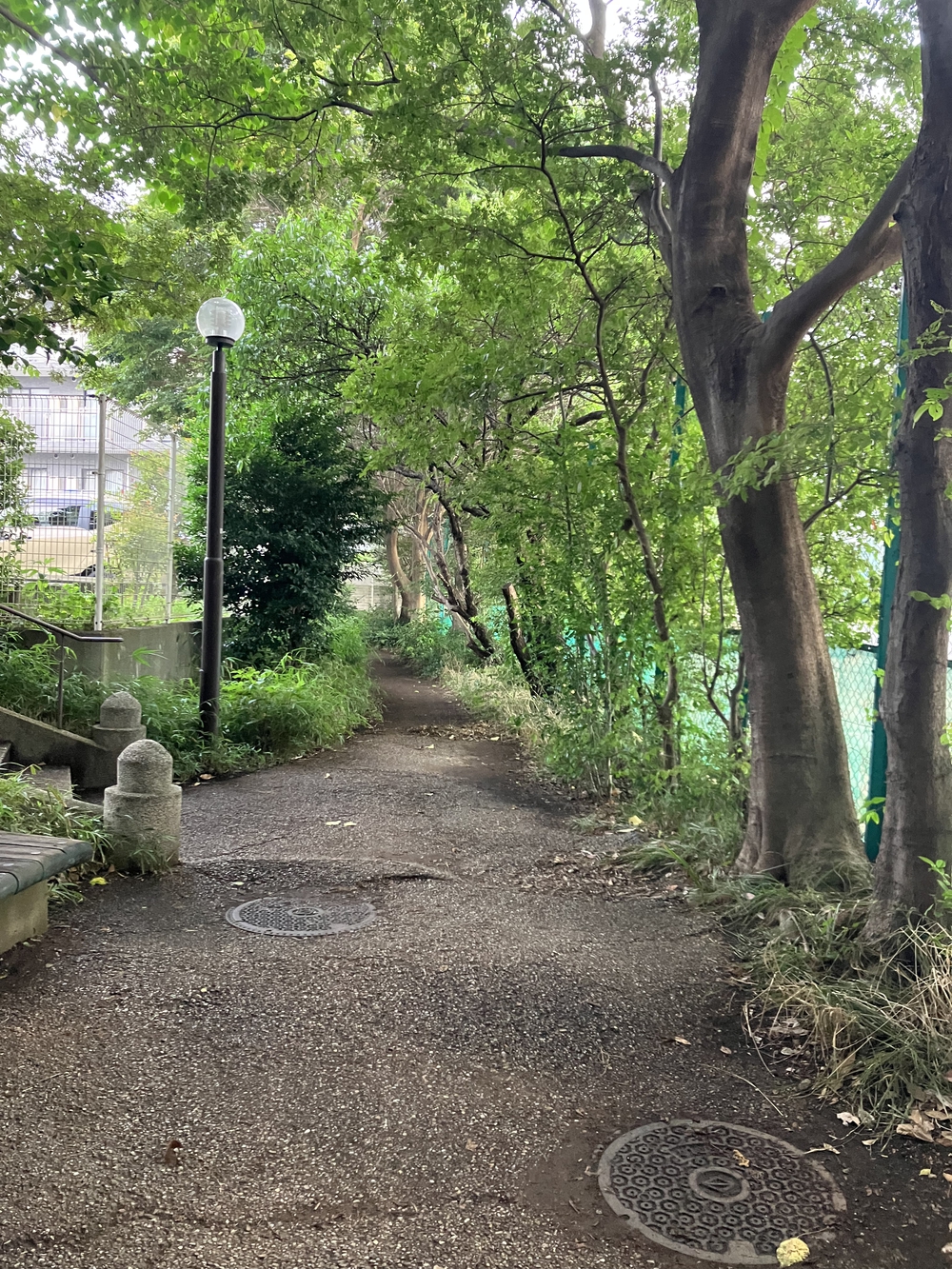 日吉駅スタート・松の川緑道ランニングの写真3