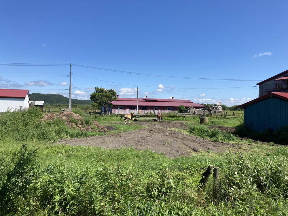 湿原の夢ロードの写真6