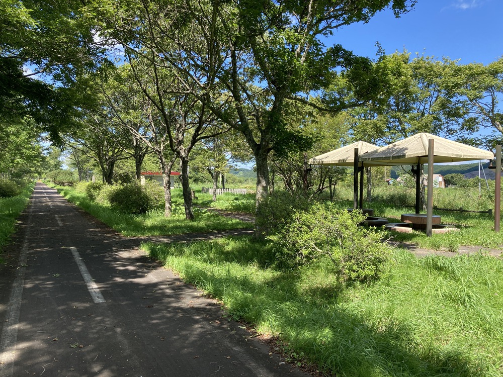 湿原の夢ロードの写真7