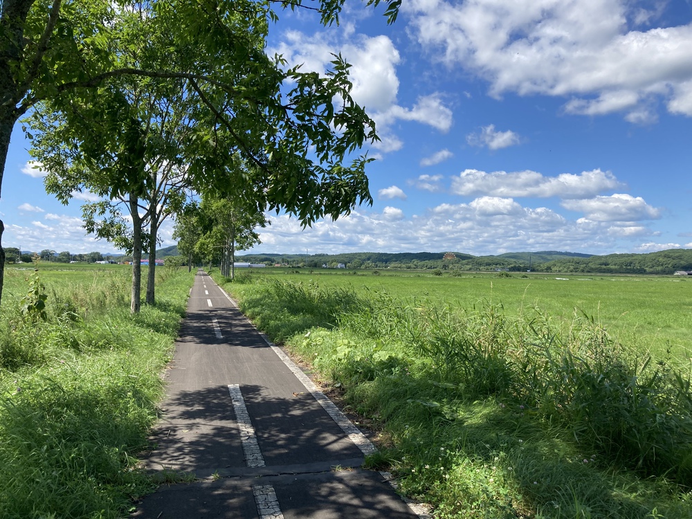 湿原の夢ロードの写真8