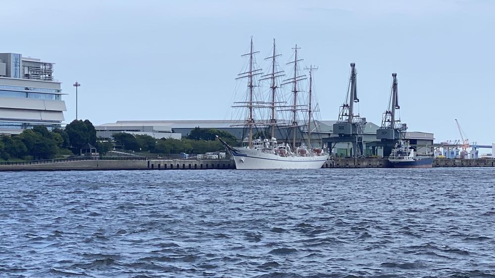 東京湾岸エリアラン　13キロ　辰巳駅（新木場駅）～田町駅の写真7