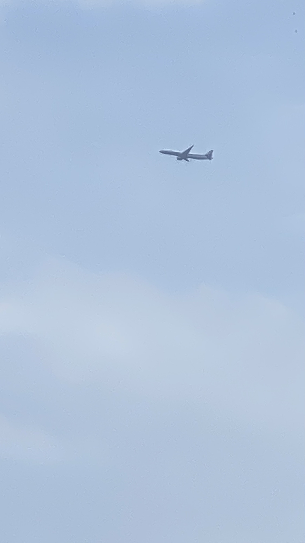 東京湾岸エリアラン　13キロ　辰巳駅（新木場駅）～田町駅の写真8