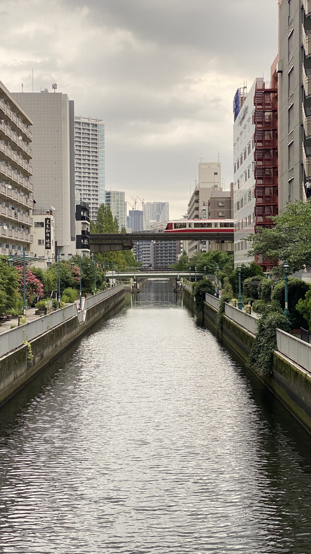 東京湾岸エリアラン　13キロ　辰巳駅（新木場駅）～田町駅の写真18