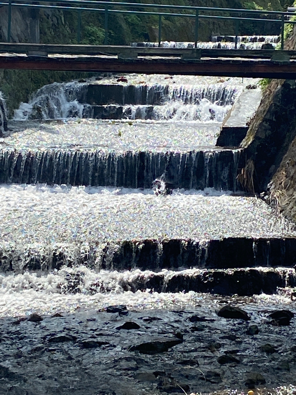 西湘小田原〜早川〜根府川〜真鶴ペタ旅❗️の写真10