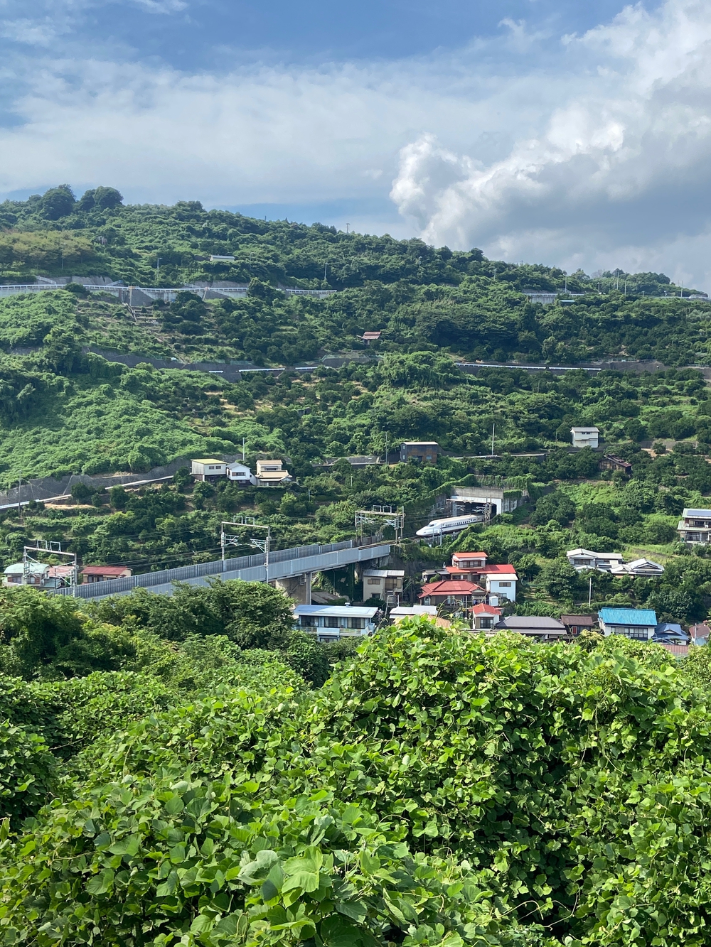 西湘小田原〜早川〜根府川〜真鶴ペタ旅❗️の写真12