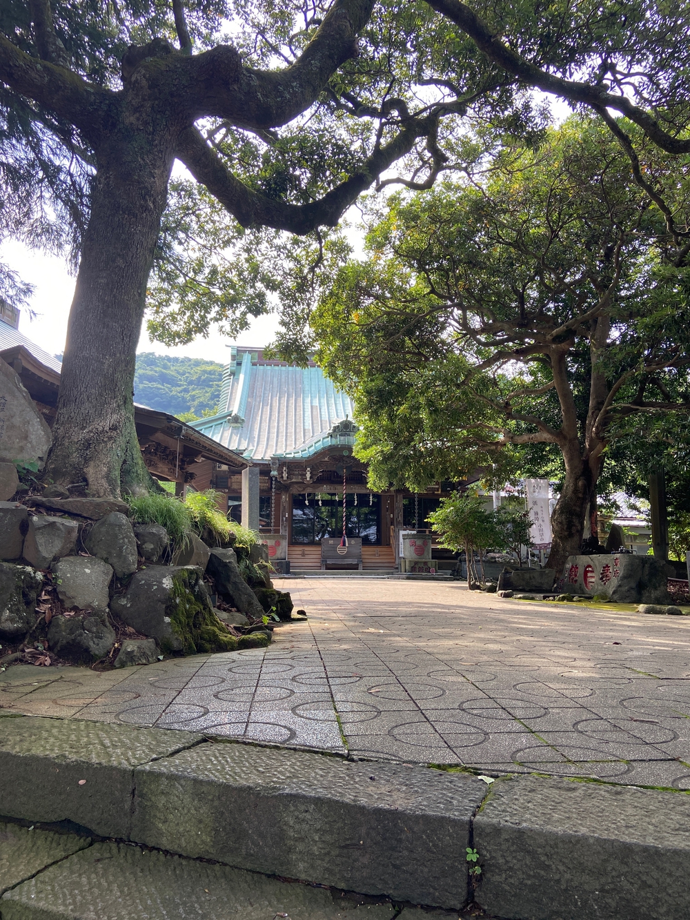 西湘小田原〜早川〜根府川〜真鶴ペタ旅❗️の写真14