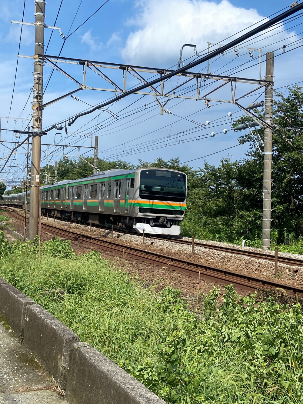 西湘小田原〜早川〜根府川〜真鶴ペタ旅❗️の写真15