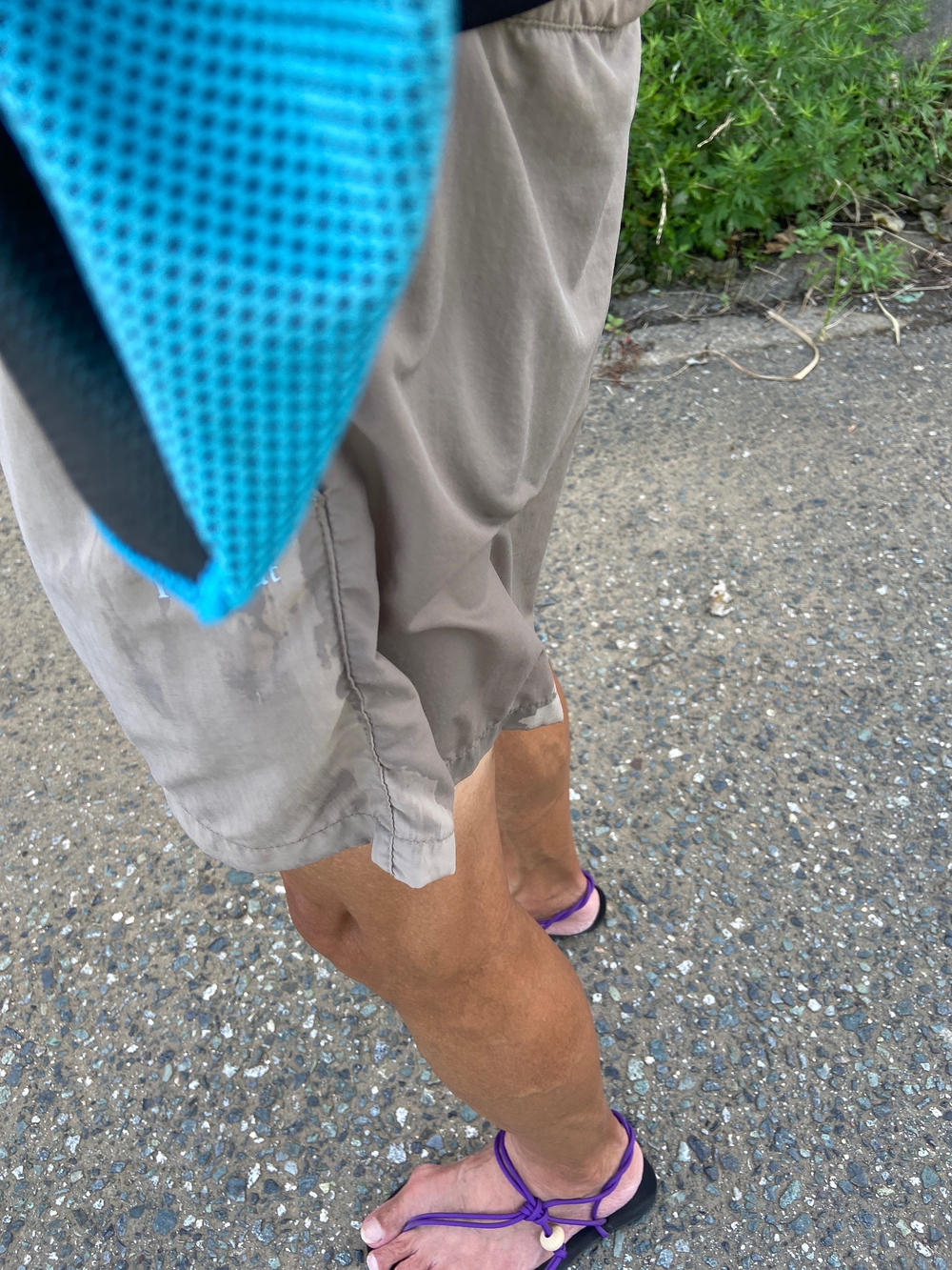 西湘小田原〜早川〜根府川〜真鶴ペタ旅❗️の写真17