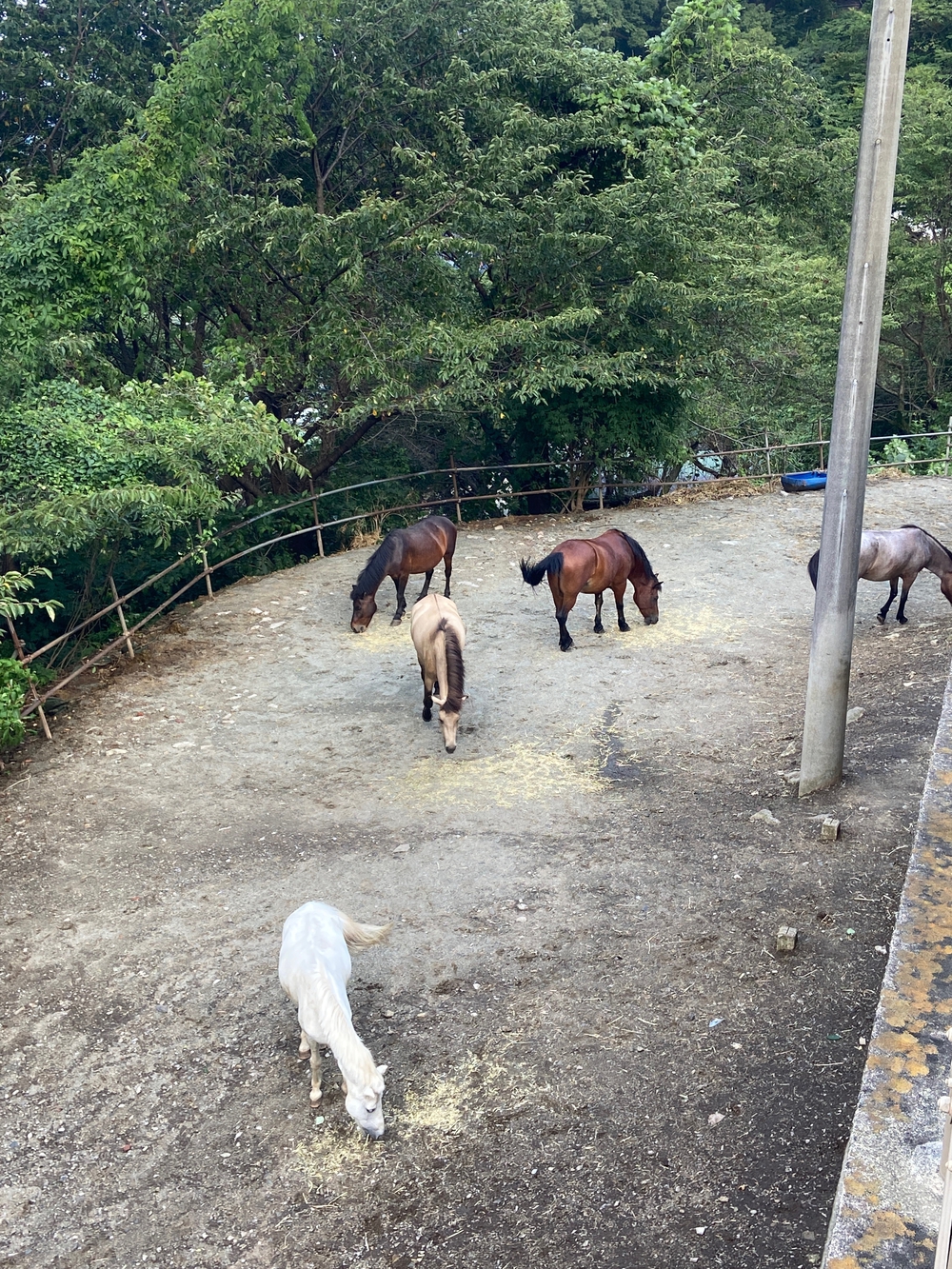 西湘小田原〜早川〜根府川〜真鶴ペタ旅❗️の写真22