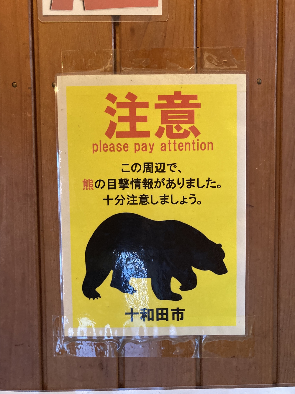 奥入瀬渓流を辿り十和田湖までの写真3