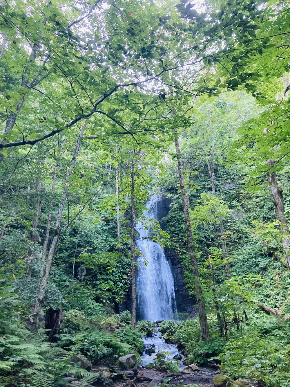 奥入瀬渓流を辿り十和田湖までの写真7