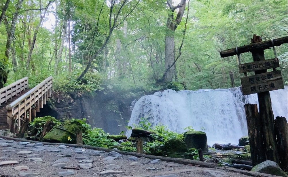 奥入瀬渓流を辿り十和田湖までの写真9