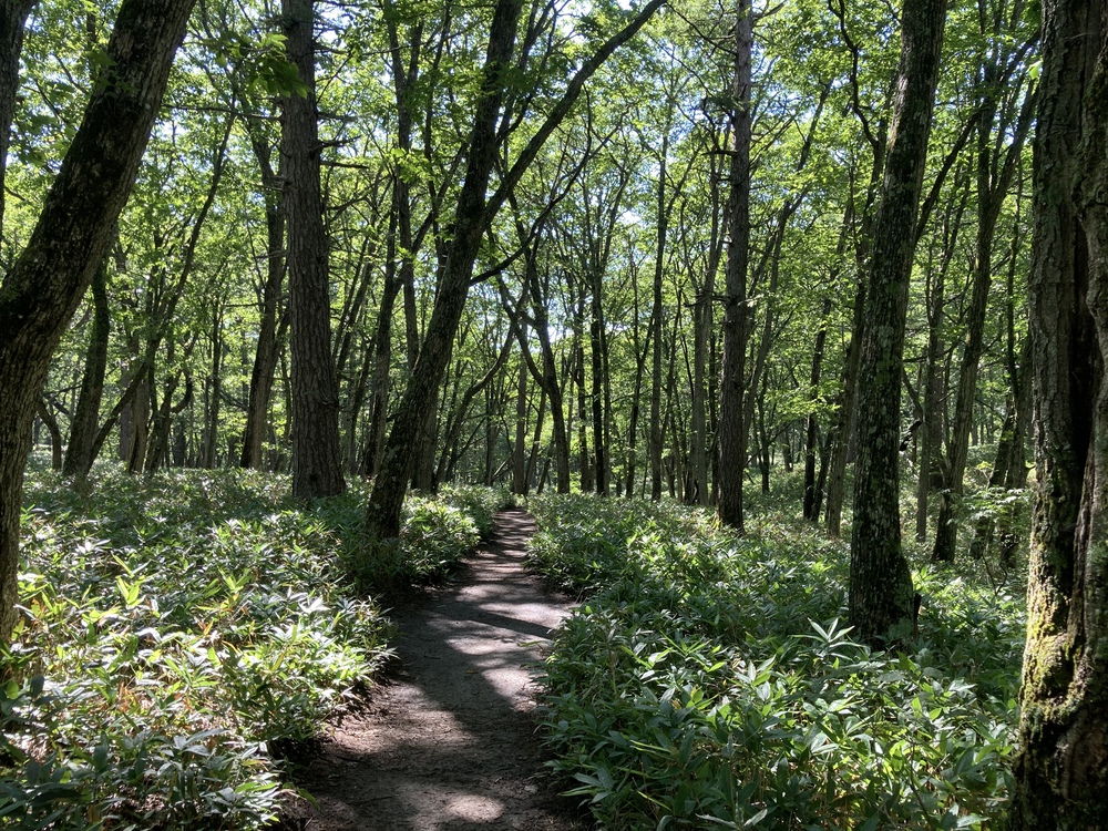 奥日光の滝と湖を巡るトレランの写真4