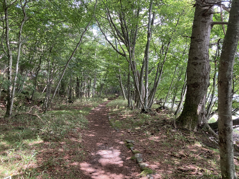 奥日光の滝と湖を巡るトレランの写真11