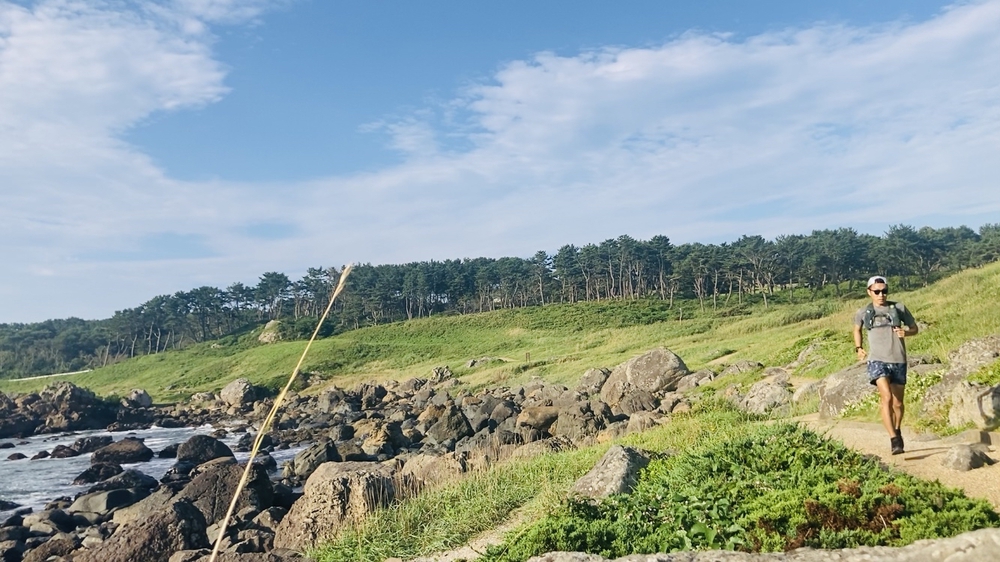 みちのく潮風トレイル　蕪島〜種差海岸の写真7