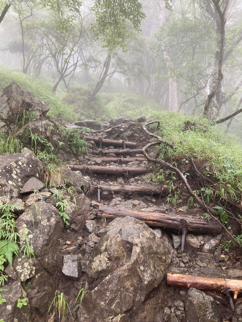安心だけど脚にきつい塔ノ岳登山の写真4