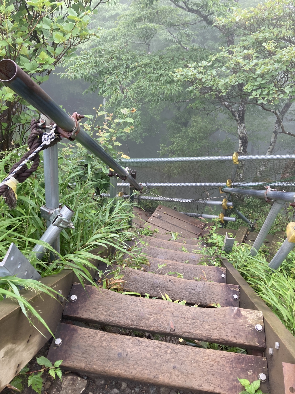 安心だけど脚にきつい塔ノ岳登山の写真5
